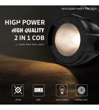 100W-LED COB PAR